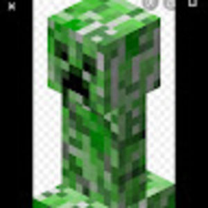 Meet your Posher, Paxton